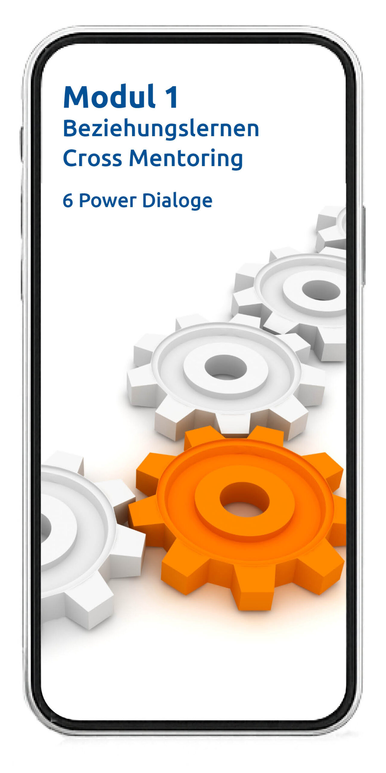 MODULE Visuals - 2025